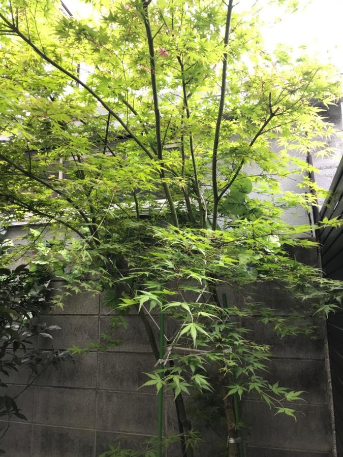 ヴィラ Lanlan 京都市
